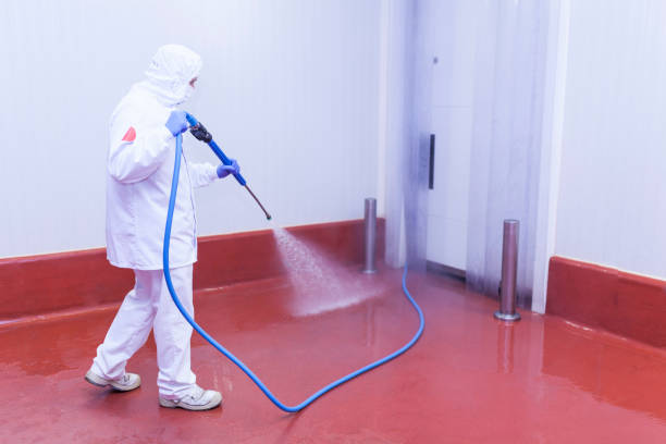 Best Parking Lot Cleaning in Williamsville, NY